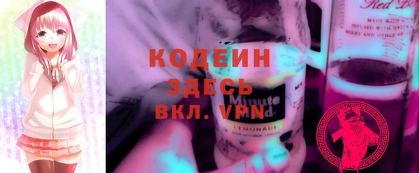 ешки Снежногорск