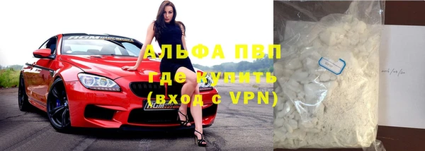 крисы Белокуриха