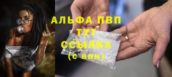 крисы Белокуриха