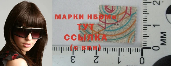 гидра Богородицк