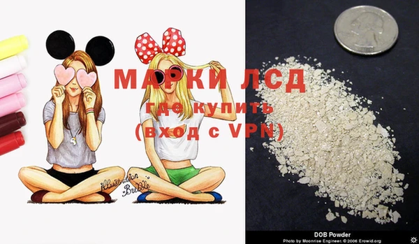крисы Белокуриха