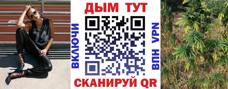 omg tor  Воскресенск  Конопля конопля 